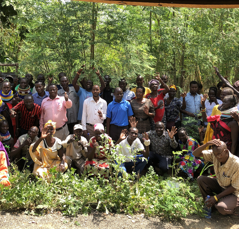 Schulungsteilnehmerinnen und -teilnehmer auf der Moringa-Farm